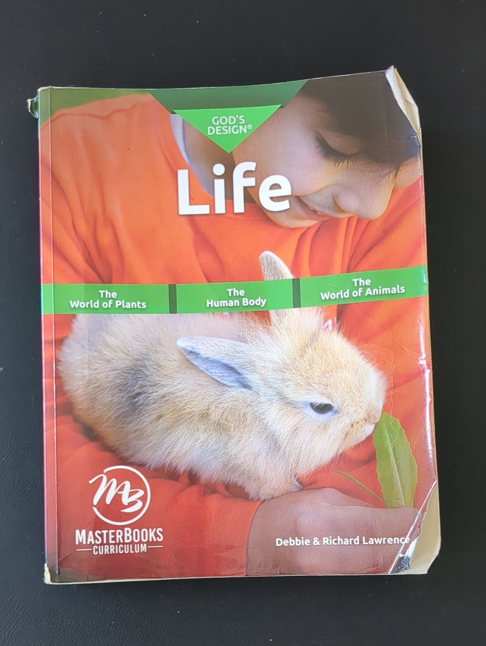 God's Design Life - Masterbooks Curriculum
